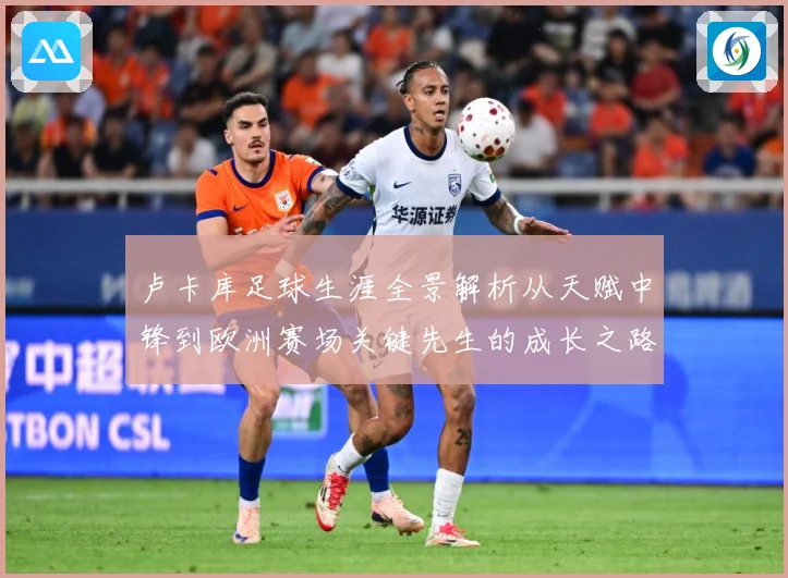 卢卡库足球生涯全景解析从天赋中锋到欧洲赛场关键先生的成长之路-深度解析