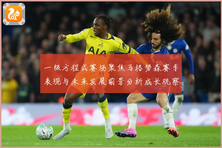 一级方程式赛场聚焦马格努森赛季表现与未来发展前景分析成长观察-深度解析