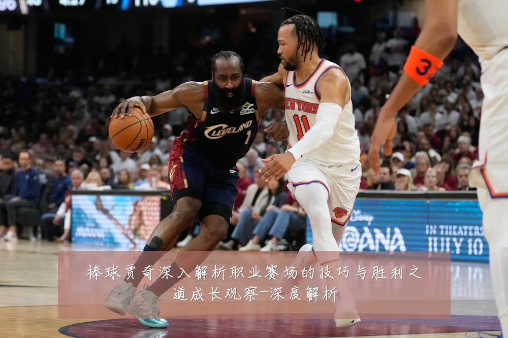 棒球贾奇深入解析职业赛场的技巧与胜利之道成长观察-深度解析