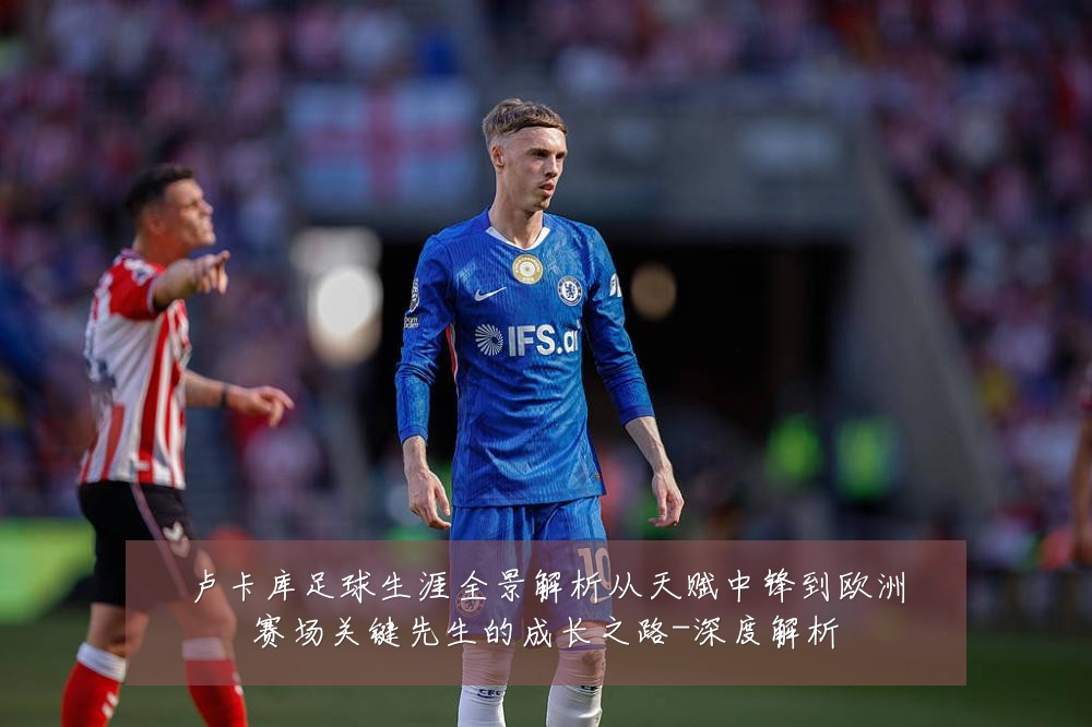 卢卡库足球生涯全景解析从天赋中锋到欧洲赛场关键先生的成长之路-深度解析